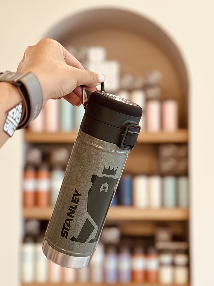 خرید تراول ماگ استنلی مدلBIG BARE BOTTLE