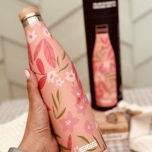 خرید بطری سرد و گرم سیگ SIGG