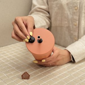 خرید اسموتی نی دار استیل برند تایسو