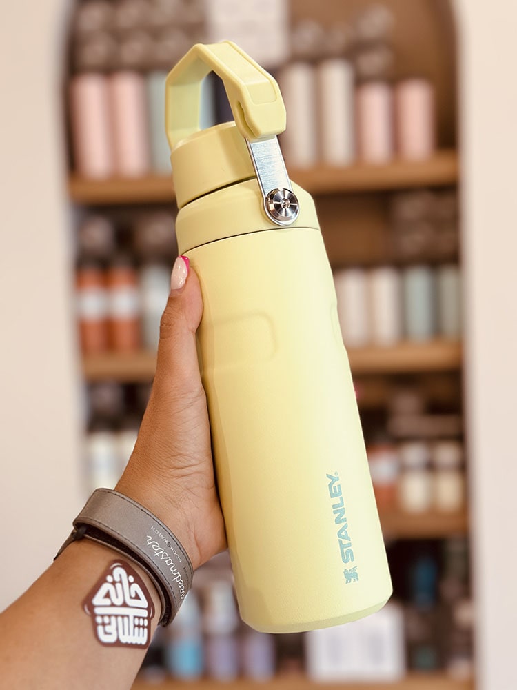 خرید و قیمت بطری استنلی جدید مدل ICEFLOW BOTTLE