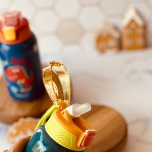 خرید فلاسک فانتزی