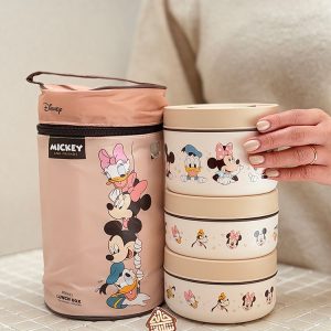 خرید لانچ باکس دیزنی