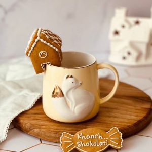 ماگ روباه