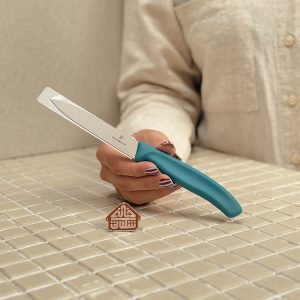 خرید چاقوی ساده 10cm برند ویکتورینوکس VICTORINOX 6.7706