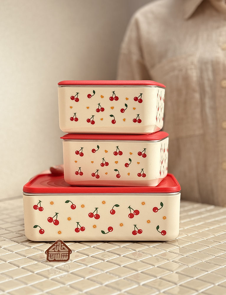 خرید ظرف غذا کیف دار گیلاس