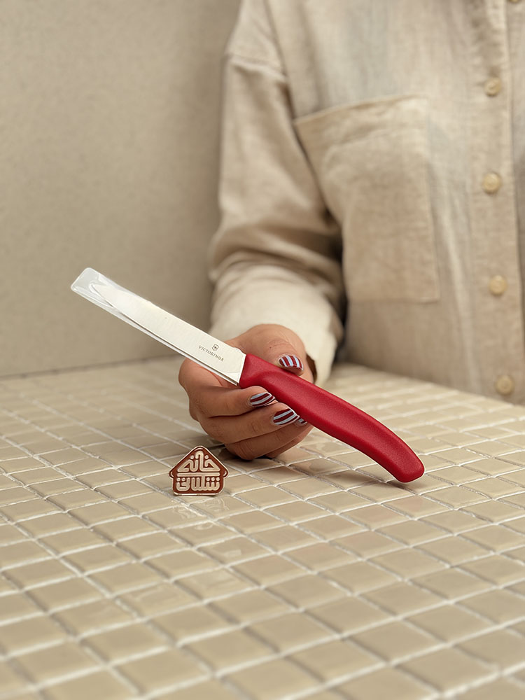 خرید چاقوی ساده 10cm برند ویکتورینوکس VICTORINOX 6.7706