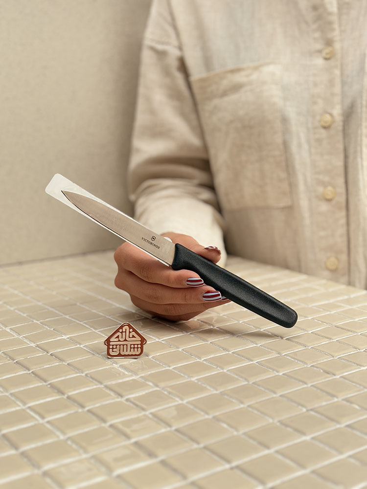 خرید چاقوی ساده 10cm برند ویکتورینوکس VICTORINOX 6.7706