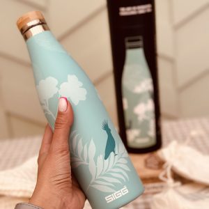 خرید بطری سرد و گرم سیگ SIGG