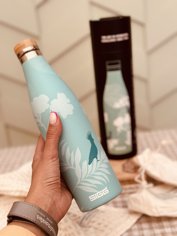 خرید بطری سرد و گرم سیگ SIGG