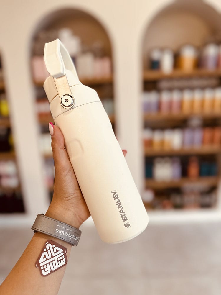 خرید و قیمت بطری استنلی جدید مدل ICEFLOW BOTTLE