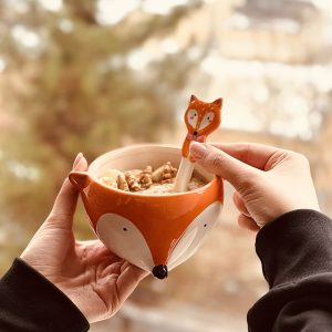 خرید ظروف فانتزی روباه