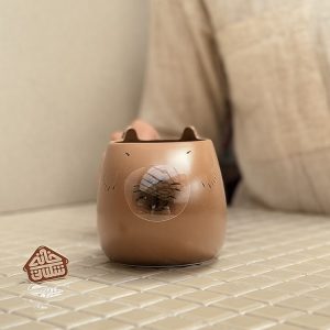 خرید ماگ فانتزی