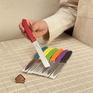 خرید چاقوی ساده 10cm برند ویکتورینوکس VICTORINOX 6.7706