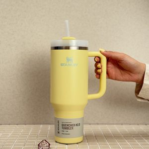 خرید تامبلر استنلی