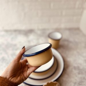 خرید ظروف لعابی برند بنشاد