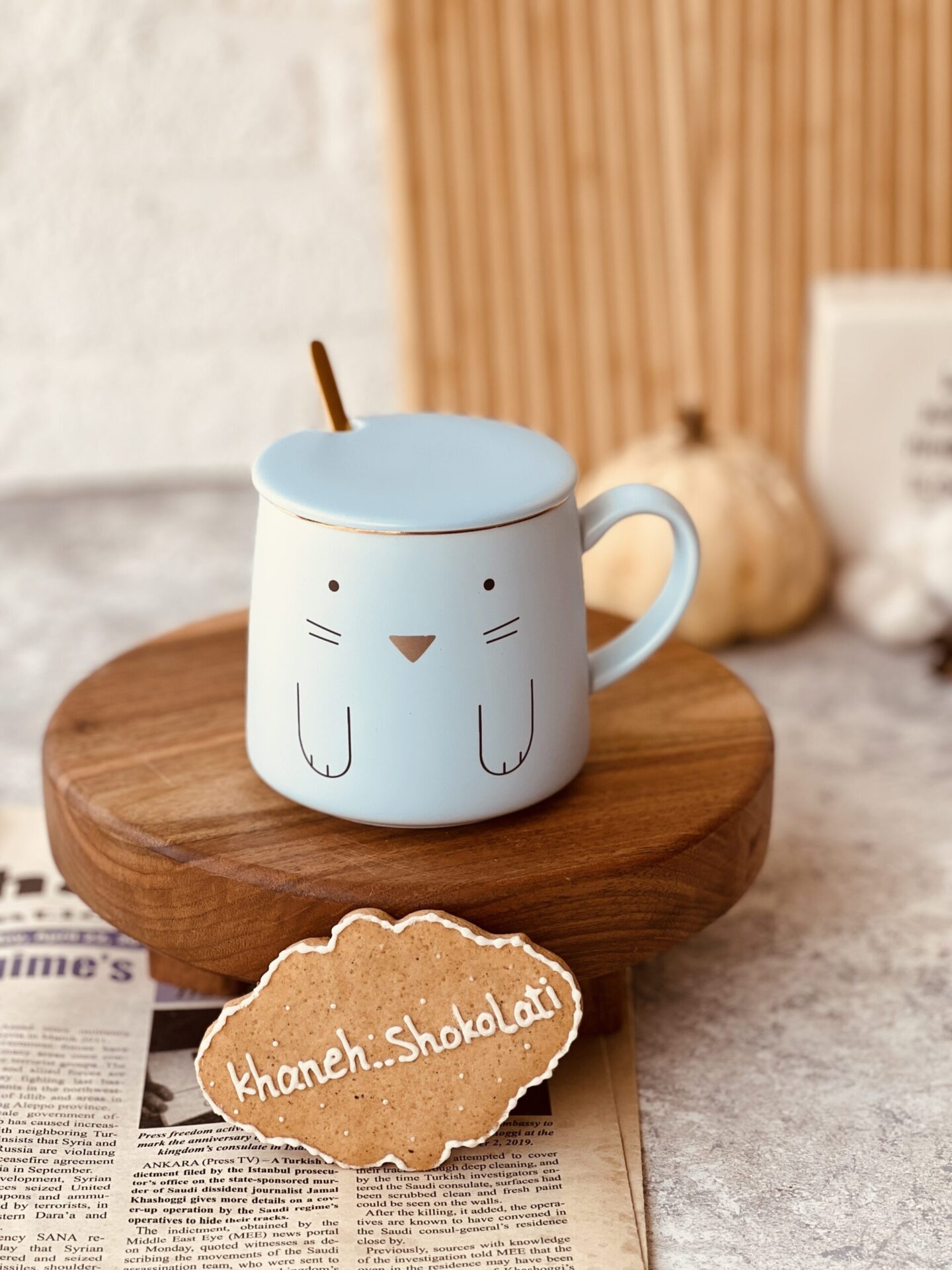 خرید ماگ گربه
