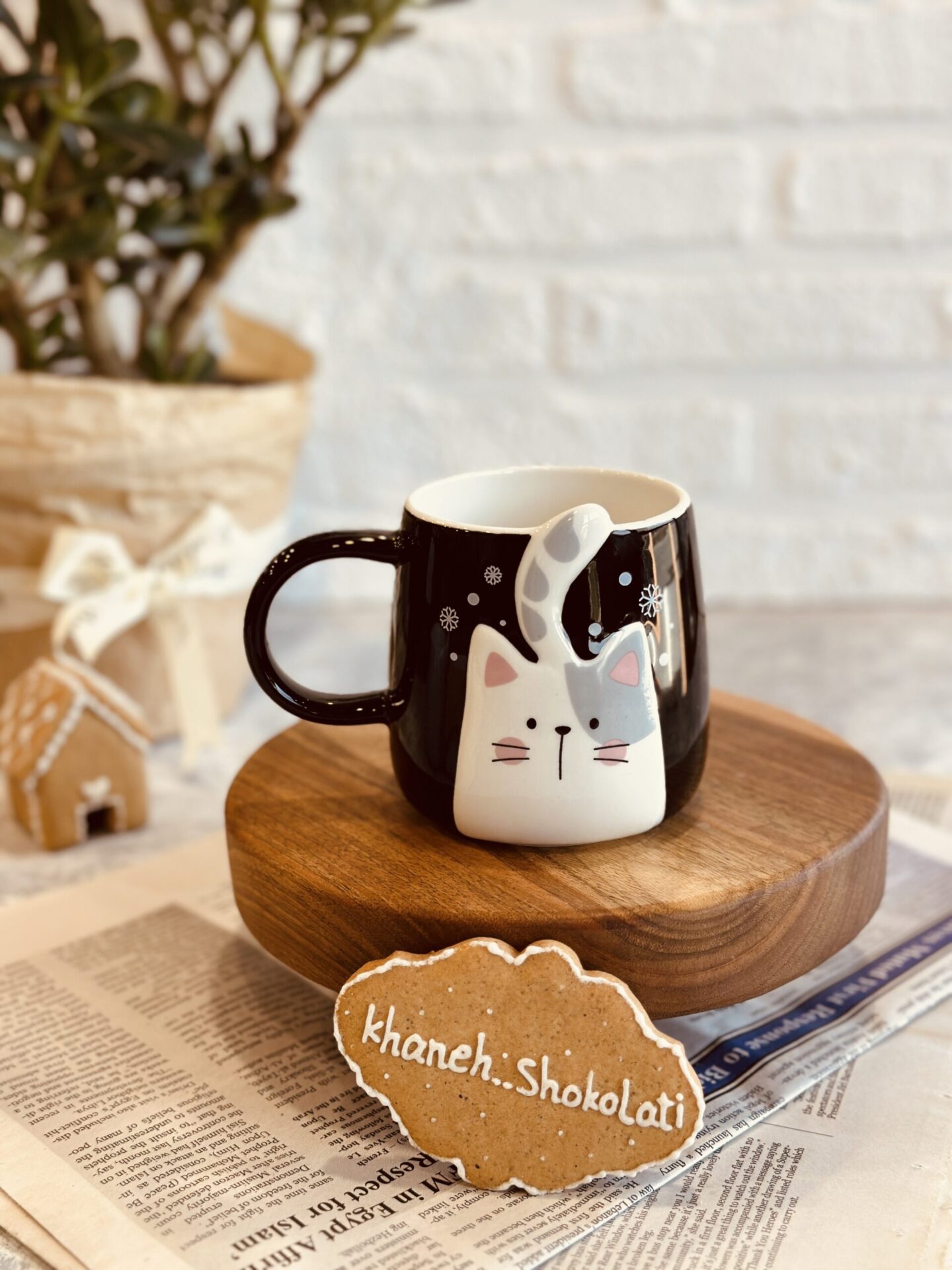 خرید ماگ گربه