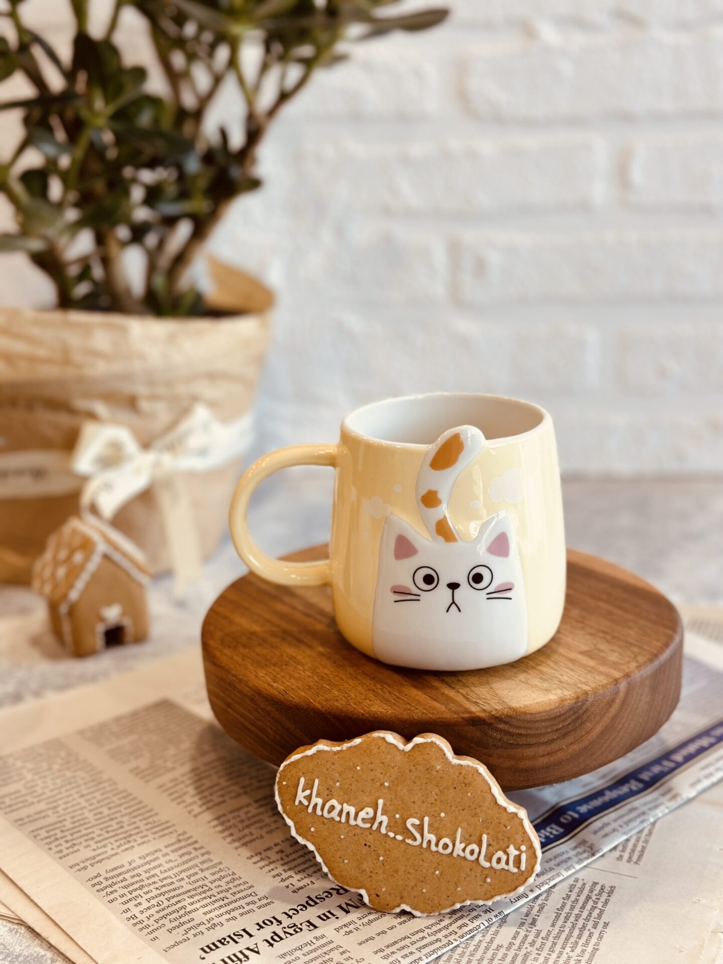 خرید ماگ گربه