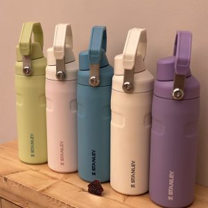 خرید و قیمت بطری استنلی جدید مدل ICEFLOW BOTTLE