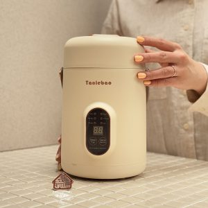 خرید ظرف غذا برقی چند کاره 2200 میل