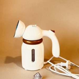 خرید اتوبخار سفری