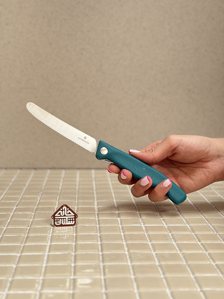 خرید چاقوی تاشو پیک نیک 11cm برند ویکتورینوکس VICTORINOX 6.7836.F9B