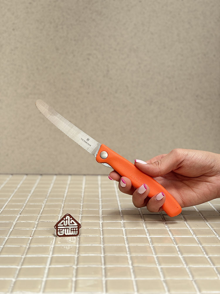 خرید چاقوی تاشو پیک نیک 11cm برند ویکتورینوکس VICTORINOX 6.7836.F9B