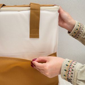خرید ساک پیک نیک عایق