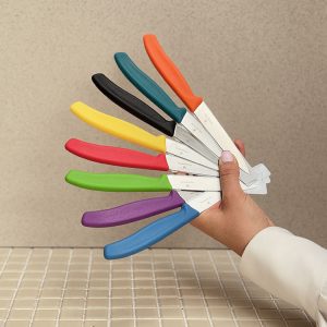 خرید چاقوی اره ای 11cm برند ویکتورینوکس VICTORINOX 6.7731