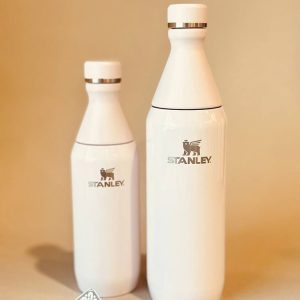 خرید بطری استنلی مدل SLIM BOTTLE