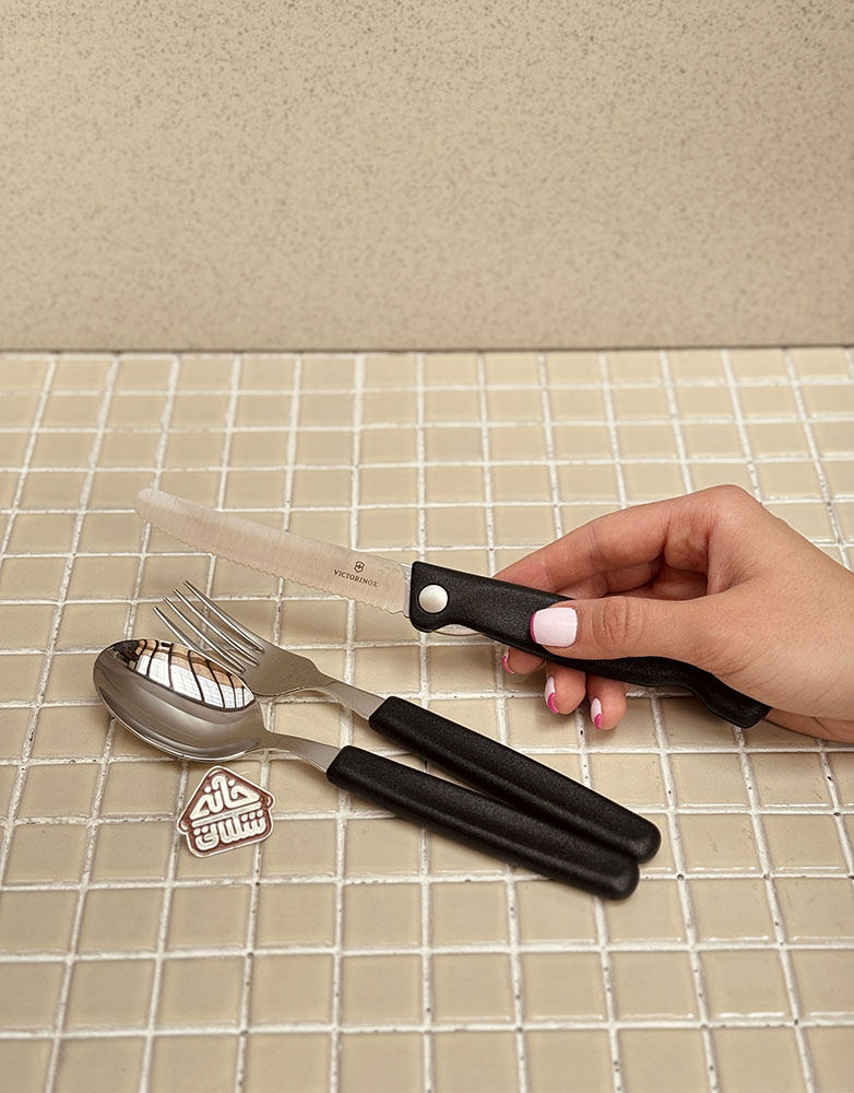 خرید ست قاشق چنگال و چاقو تاشو پیک نیک برند ویکتورینوکس VICTORINOX 6.7192.F9