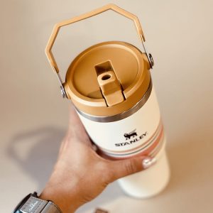 خرید تراول ماگ نی دار استنلی