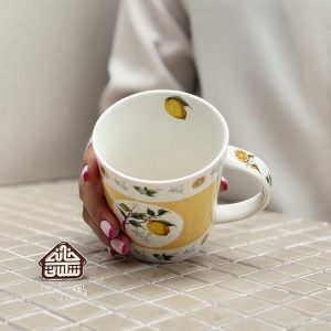 خرید ماگ کادویی طرح لیمو