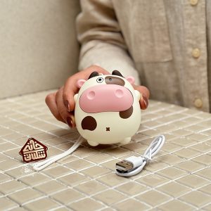خرید بخاری جیبی فانتزی