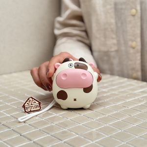 خرید بخاری جیبی فانتزی