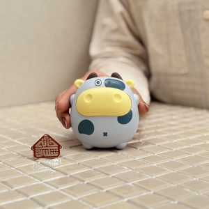 خرید بخاری جیبی فانتزی