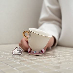 خرید ماگ دیزنی دیو و دلبر
