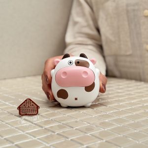 خرید بخاری جیبی فانتزی