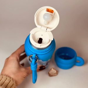 خرید فلاسک فانتزی دیزنی