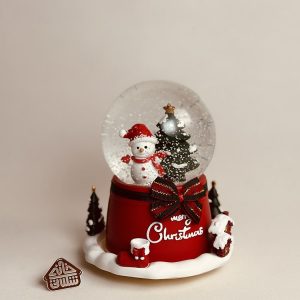 خرید گوی موزیکال