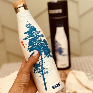 خرید بطری سرد و گرم سیگ SIGG