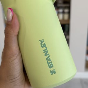 خرید و قیمت بطری استنلی جدید مدل ICEFLOW BOTTLE