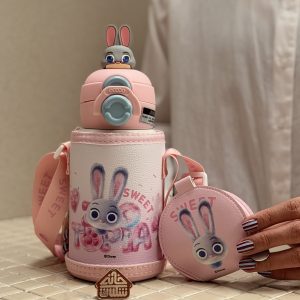 خرید فلاسک دیزنی کاور دار