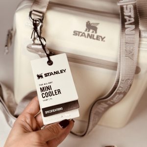 خرید کیف اورجینال استنلی مدل THE ALL DAY MINI COOLER