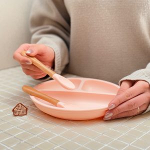 خرید بشقاب سیلیکونی