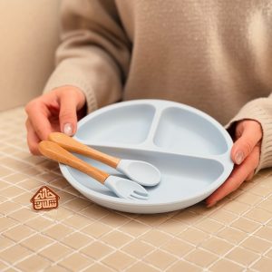 خرید بشقاب سیلیکونی
