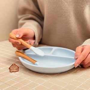خرید بشقاب سیلیکونی