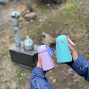 خرید فلاسک خرگوشی