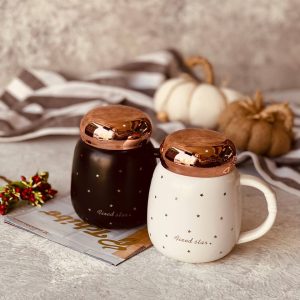 خرید ماگ درب پیچی