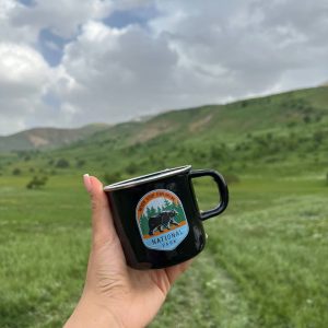 خرید ماگ لعابی